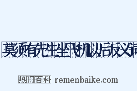 莫须有先生坐飞机以后反义词是什么意思的图片